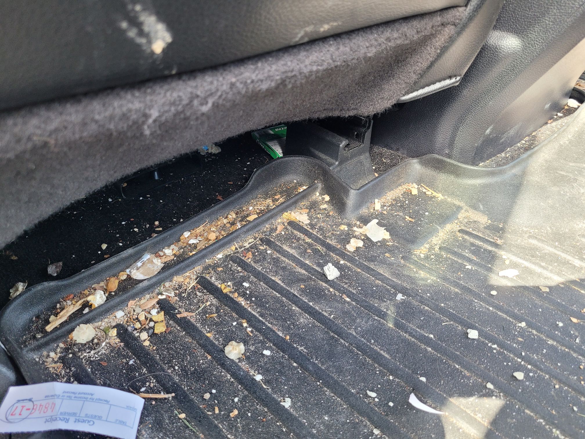 Backseat floorboard before cleaning